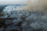 Valtaosa Brasilian maastopaloista on tahallaan sytytettyjä. LEHTIKUVA/AFP. 