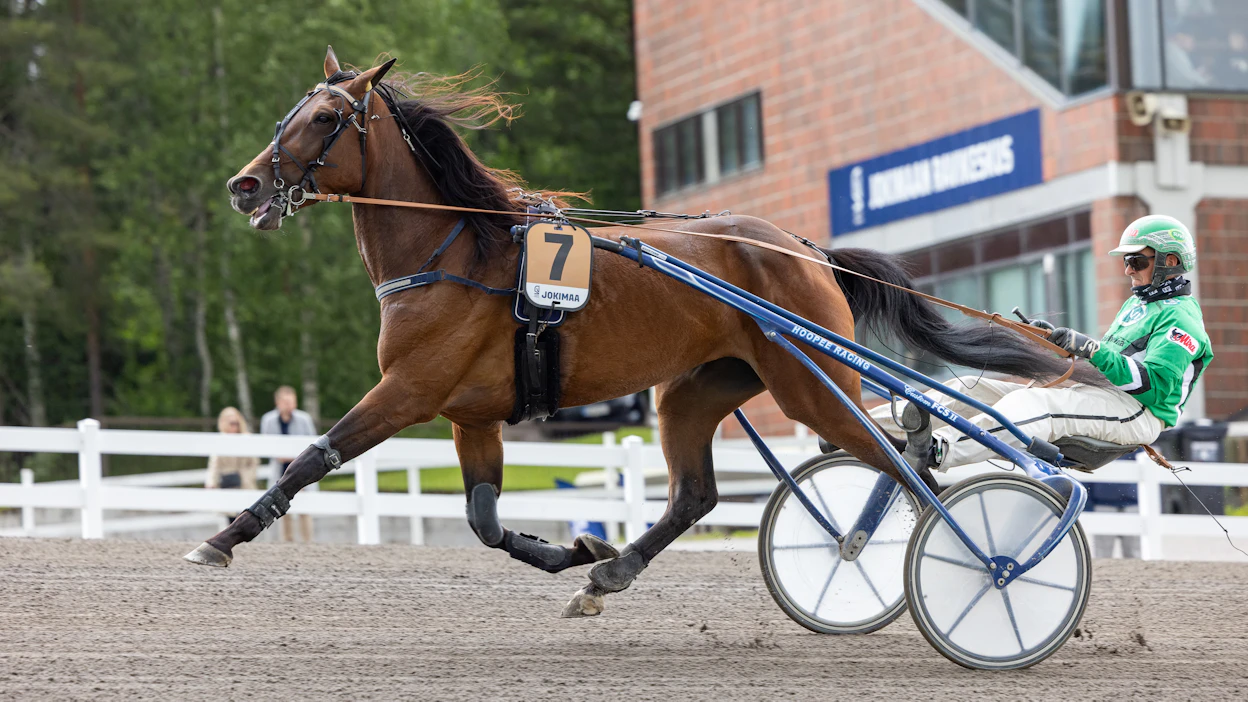 Derbyssä toiseksi sijoittunut BWT Jackpot tavoittelee Ari Moilasen ohjastaman finaalipaikkaa Villinmiehen Tammakilpailun finaaliin.