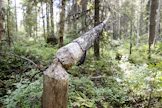 Majavasta on sekä hyötyä että haittaa. Jos pato katkaisee veden kulun kokonaan, se estää myös lohikalojen vaelluksen. 
