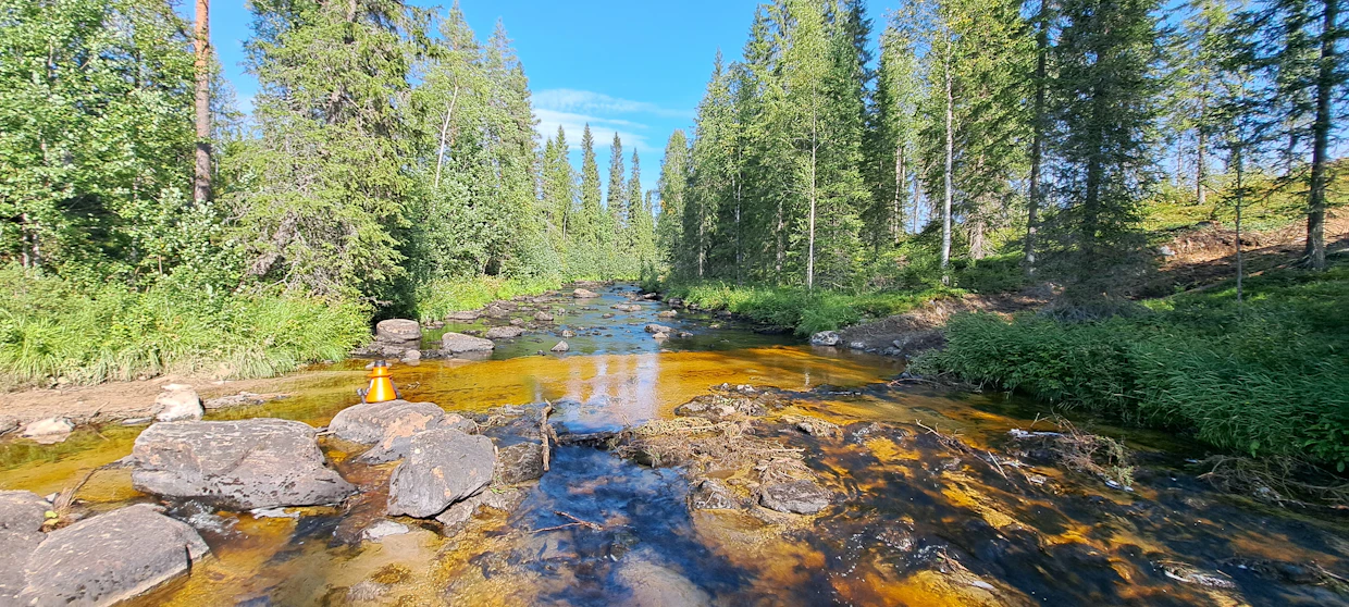 Maanomistajat saavat nykyisin Metsäkeskukselta tietopaketin ja toimintaohjeet, jos metsänhakkuita suunnitellaan raakkupuron tai -joen valuma-alueelle.