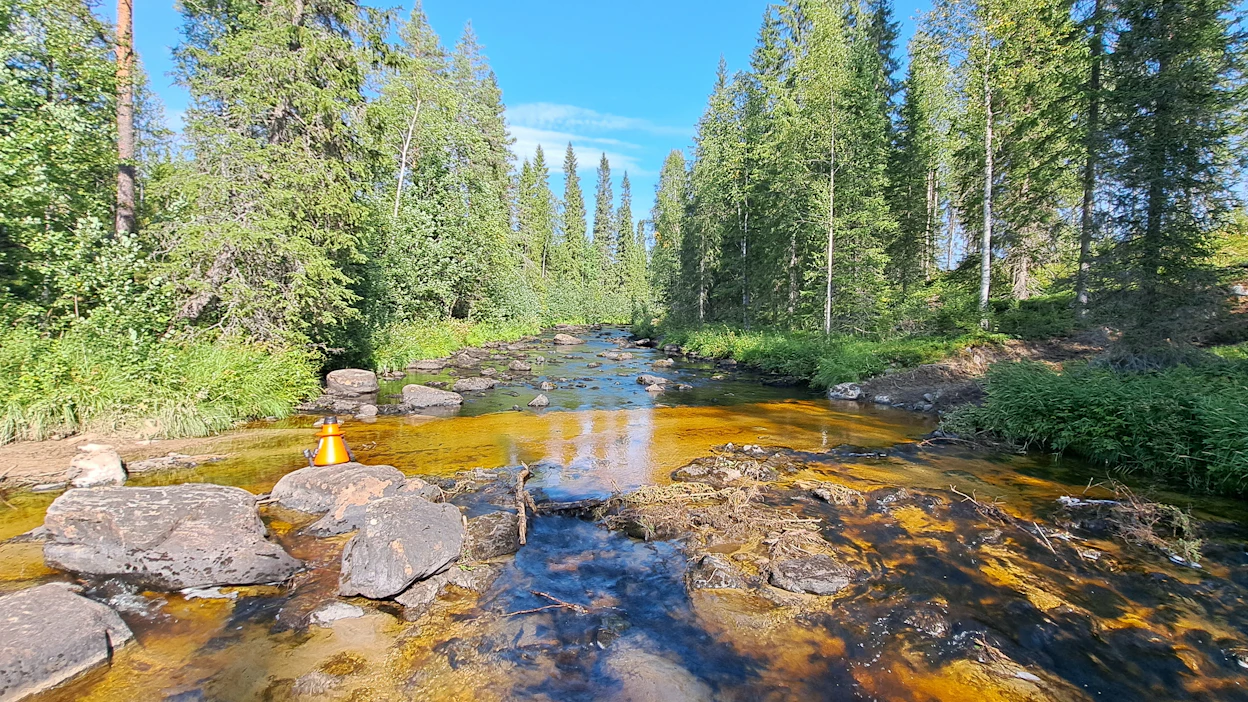 Kohta, jossa metsäkone on ylittänyt Hukkajoen suomussalmelaisella hakkuutyömaalla. Ylityskohdassa vesi on sameaa ja se on muuttunut raakulle elinkelvottomaksi.