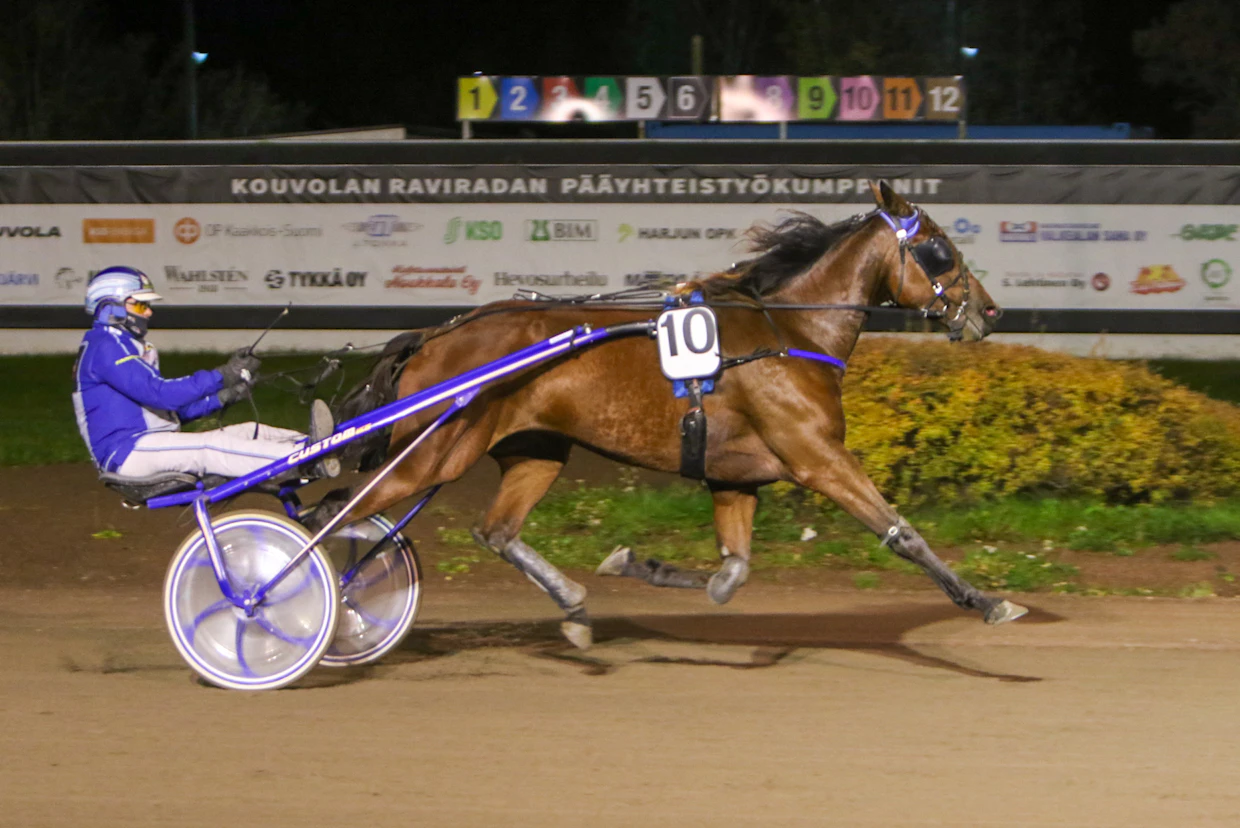 Martti ja Heikki Pellikan kasvatti ja ravuri Goodbrother hoiti tyylikkäästi oman karsintansa kotiin Valtimoon. Martti Pellikka valmentaa ja Jarmo Saarela ohjasti.