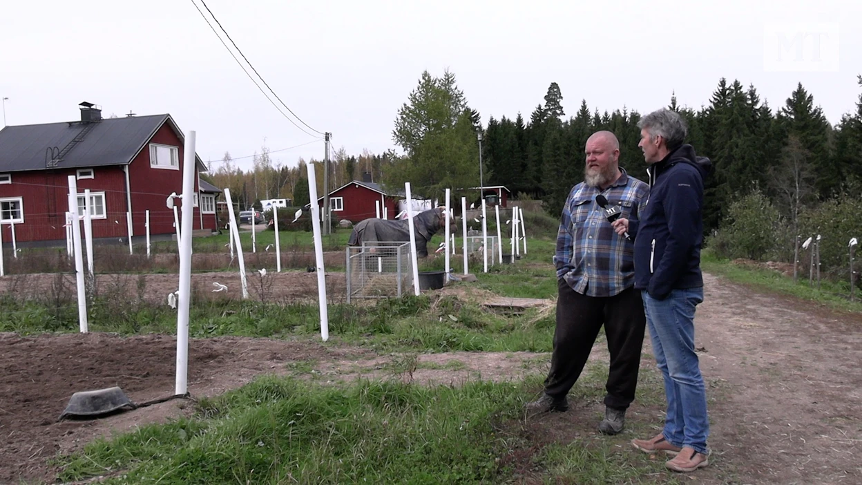 Orimattilan Luhtikylään muuttanut Teemu Okkolin (vas.) pyörittää tallia kahdessa paikassa. Häntä haastattelee Juha Jokinen.