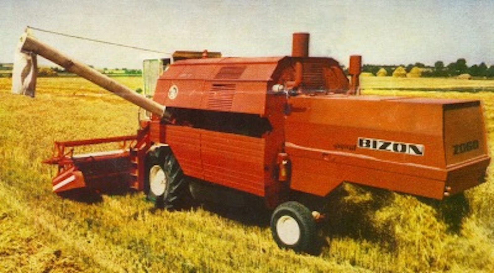 77BizonGigant2