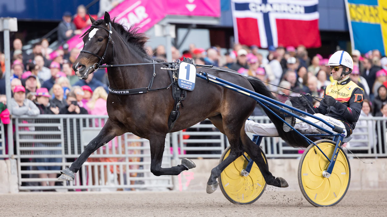 Majblomsterin ja Mats E. Djusen nelossija sunnuntain Elitkampenissa oli paljon merkittävämpi kuin äkkiä saattoi ajatella.