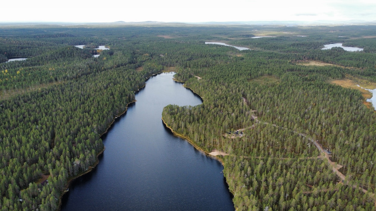 Kussamo kutsuu Tuija Pehkosta.