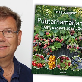 Leif Blomqvist on pedersöreläinen taimistopuutarhuri ja tietokirjailija. 