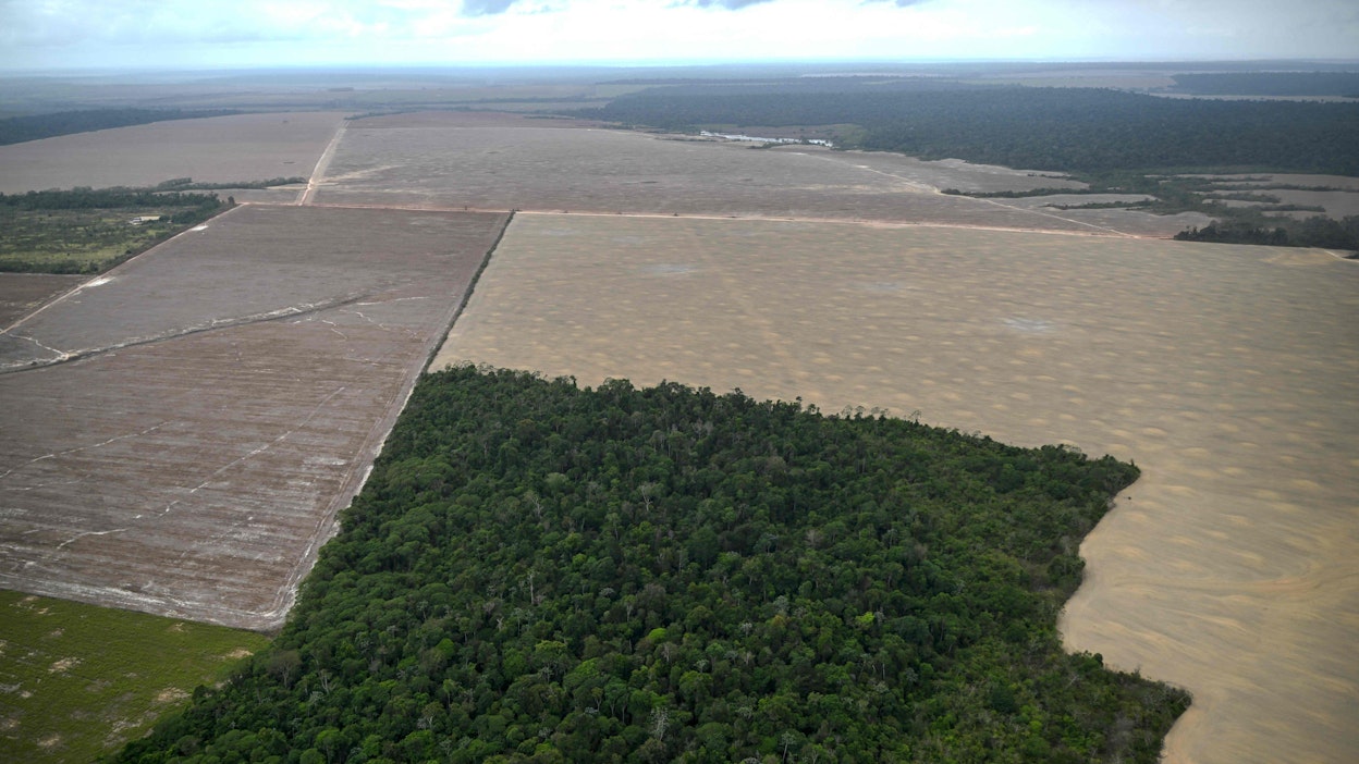 Amazonin sademetsät katoavat ja pirstaloituvat muun maankäytön tieltä.
