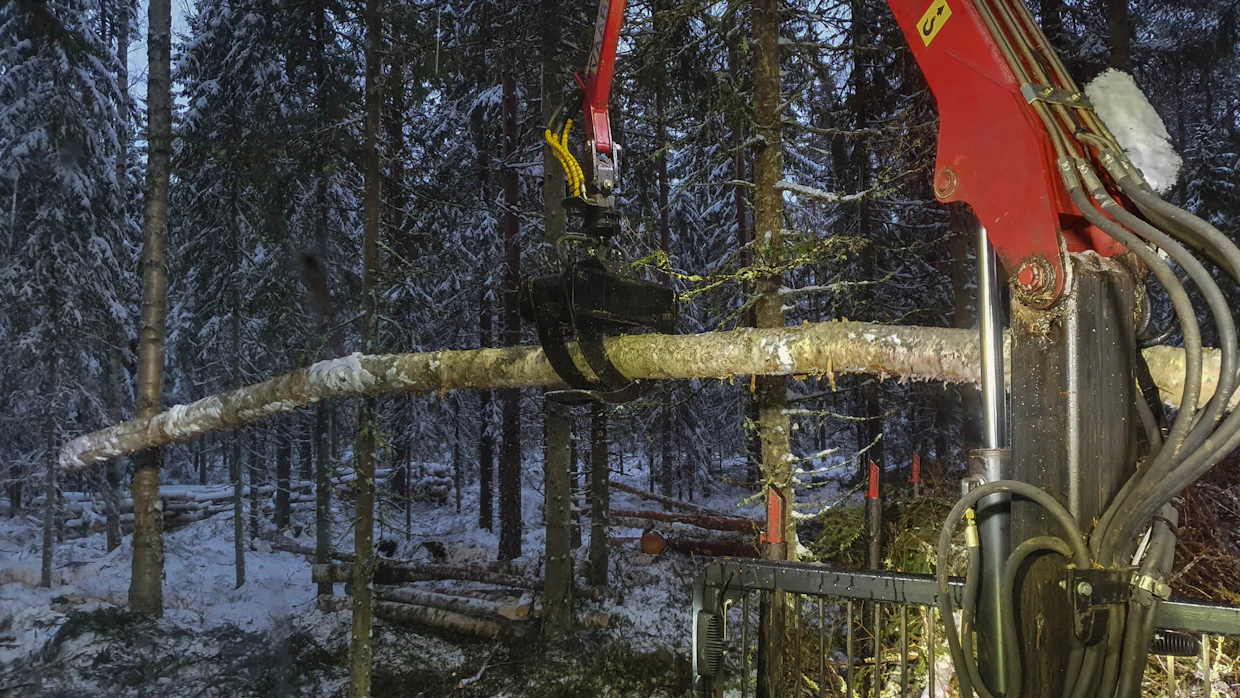 Katkaisussa kannattaa ensin kokeilla, riittääkö rauhallinen nosto katkaisuun. Eli nostettäessa pölkkyjen oma paino saattaa riittää katkaisemaan pitopuut. Jos pitopuukohtiin on tehty vaakasahaukset ja alapuolelle ”kaatokolot”, tämä yleensä riittää.