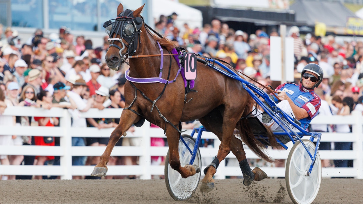 Varjohehku ja Timo Mäkäräinen ovat Kaustisella pisteiden perässä.