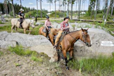 Ratsukot kahlaavat rutiinilla läpi trail-radalla sijaitsevasta kanjonin kapeikosta. Edessä Terhi Lehtinen quarter-tamma Lolalla, perässä Nelli Turakainen suomentamma Lyytillä ja viimeisenä Tero Ketola torinhevosruuna Lennulla.