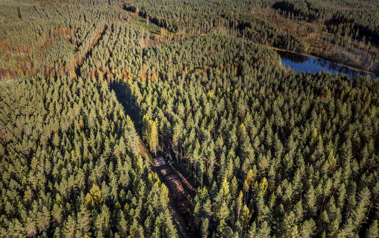 Ostajien näkökulmasta joka vuosi puuta myynyt yhteishankintalue on luonut puun tarjontaan vakautta.