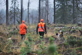 Karhunmetsästys saattaa kaatua jälleen poikkeusluvista tehtailtaviin valituksiin muualla kuin karhutihentymien alueilla.