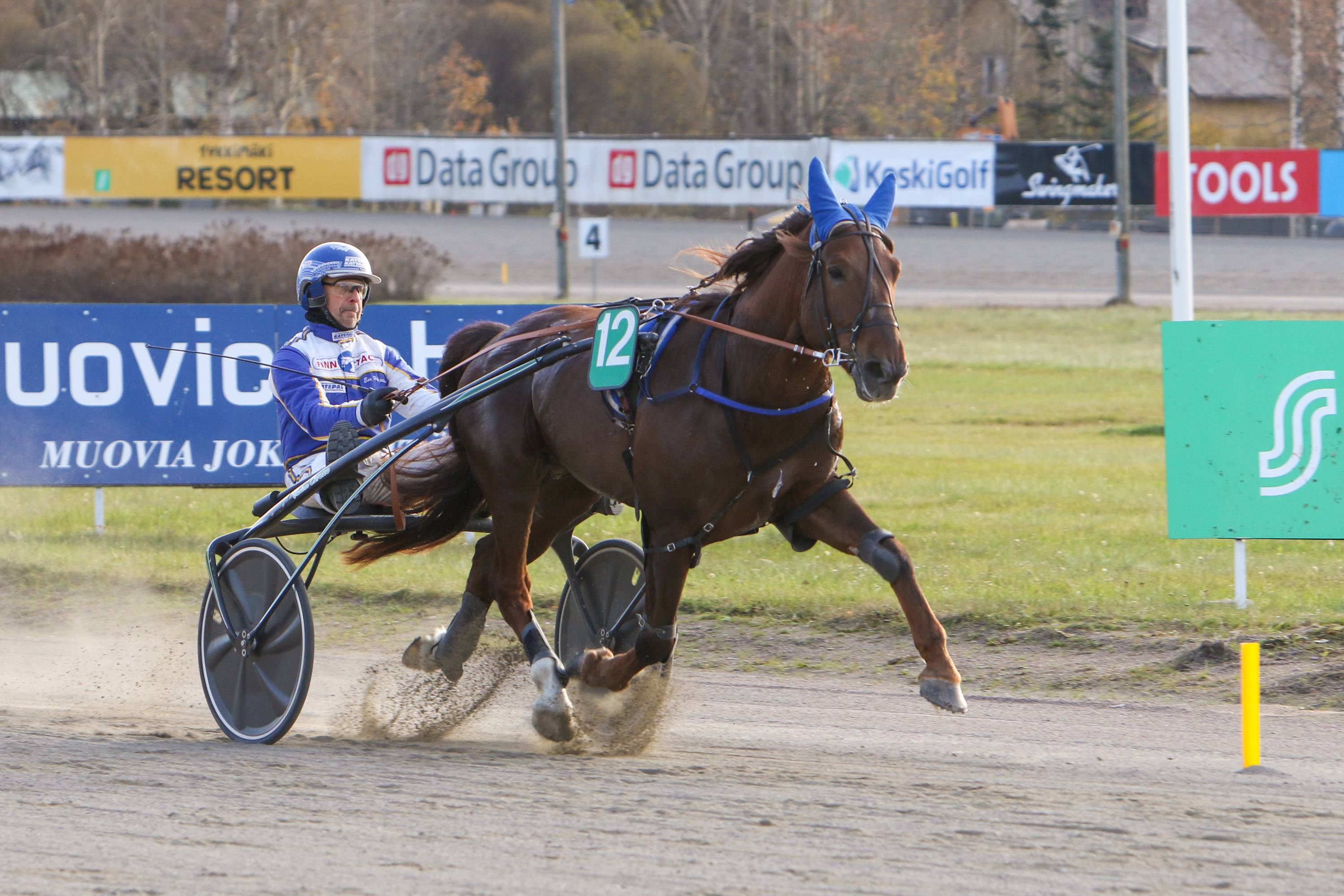 Issakan Valo myytiin viime viikolla uudelle omistajalle. Suomenhevosten parhaimmistoon kurkottava ori juoksee kuvassa Esa Holopaisen ajamana.