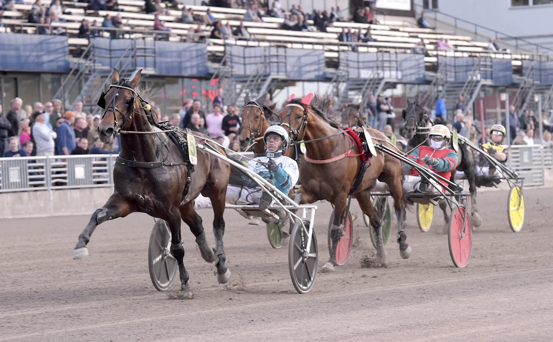 Breeders’ Crownin voittaja ja UET Grand Prix’n kolmonen Mister Hercules hakee St Michelistä ensimmäistä suurvoittoaan aikuisten tasolta. Viisivuotiasta treenaa Daniel Redén, jonka suojatti Heavy Sound vei nimiinsä St Michelin 2018.