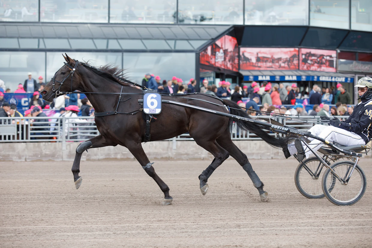 Joli Mearas ja Markus Forss ottivat tuntumaa Elitloppet-rataan viime vuonna.