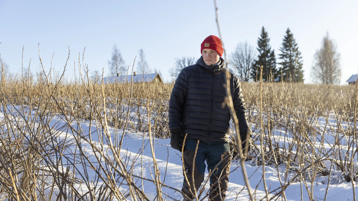 Jouni Ylätalon tilaan kuuluu 152 hehtaaria metsää. Tilansa metsien hoidosta hän vastaa pitkälti itse. Myös puukaupat hän kilpailuttaa itse ja tekee usein myös puukauppaa edeltävän maastosuunnittelun itse.