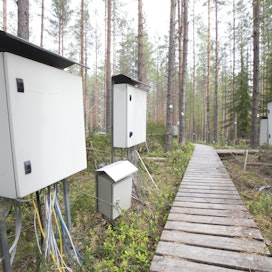 Metsien hiilensidontaa mitataan muun muassa Hyytiälän metsäasemalla Pirkanmaalla.