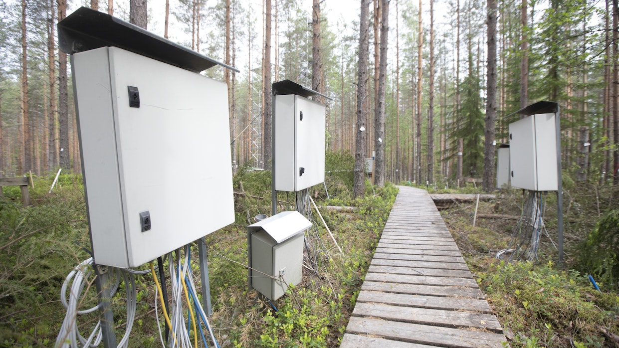 Metsien hiilensidontaa mitataan muun muassa Hyytiälän metsäasemalla Pirkanmaalla.