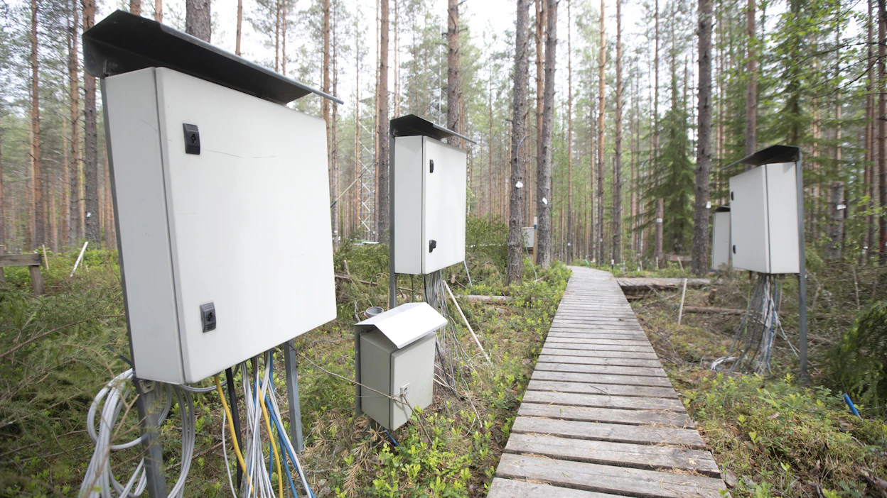 Metsien hiilensidontaa mitataan muun muassa Hyytiälän metsäasemalla Pirkanmaalla.