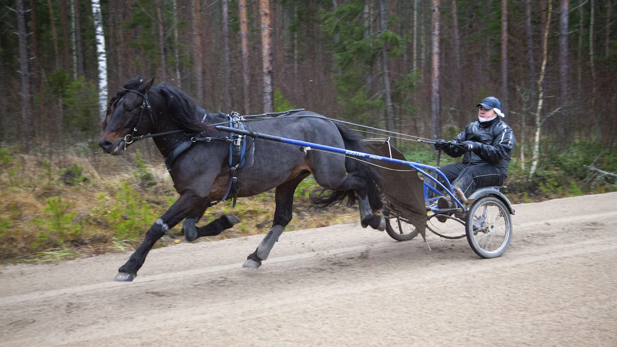 Terno Grönstrand ajaa arkistokuvassa Björkevikingillä Käräjävuoren hiittisuoralla.