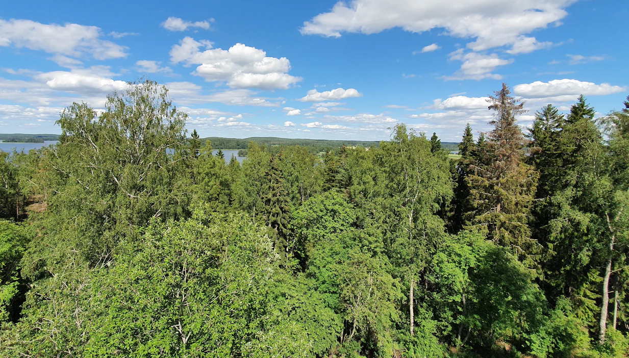 ”Puolen kilometrin päässä oman metsän keskellä olevalta vuorelta voi katsella maisemia joka suuntaan kymmenien kilometrien etäisyydelle”, kirjoittaa Markku Kaurila. Kuva on kuvituskuva.