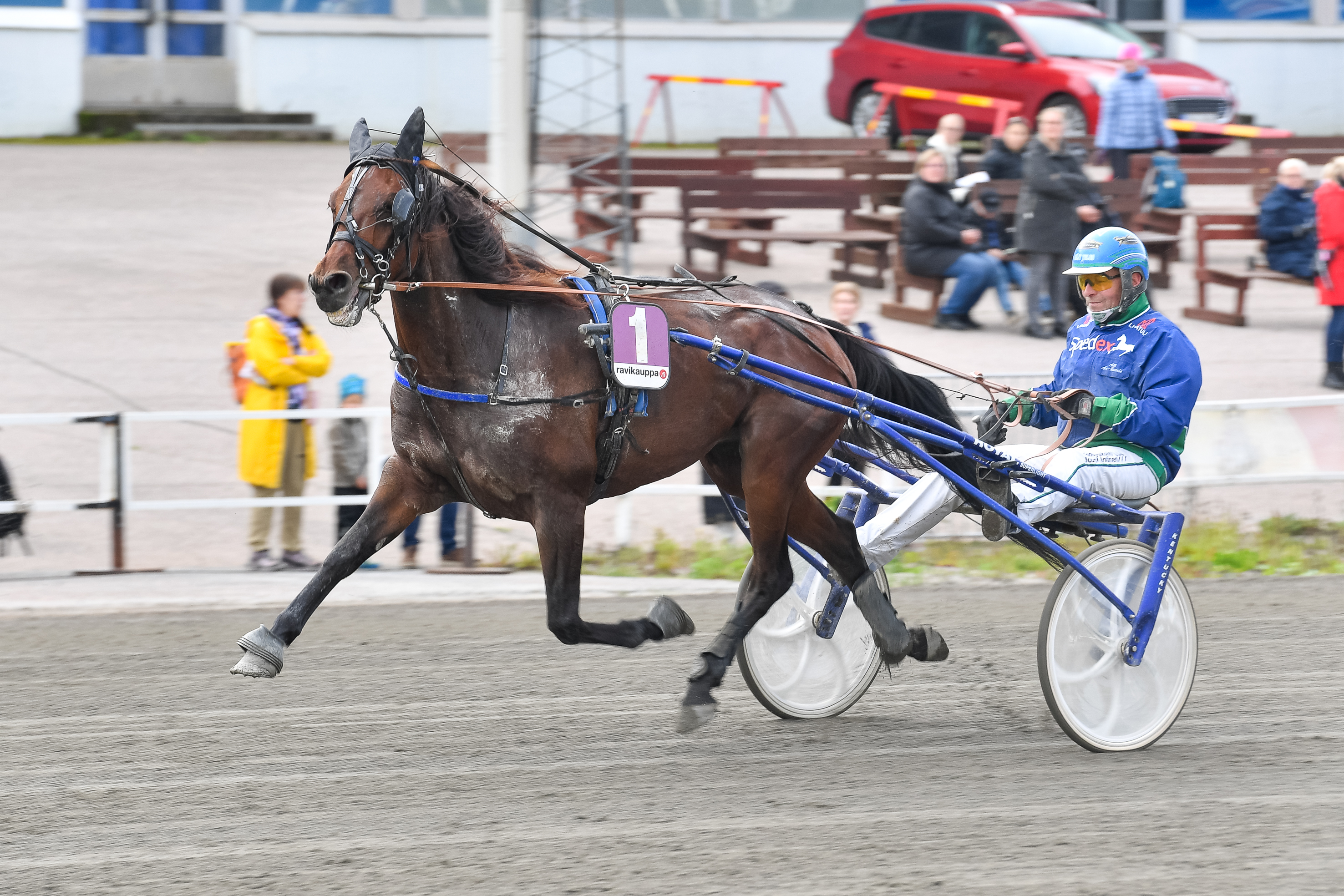 Antti Ala-Rantalan ohjastama ja valmentama Informed Am on vihjerivin varma.