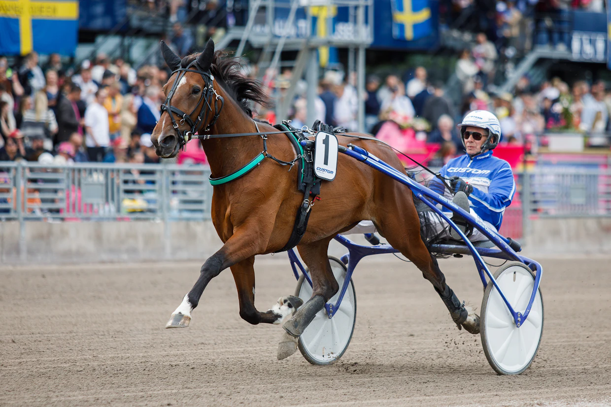 Jorma Kontio ajaa sunnuntaina Bjerkessä Filippa B.J.:llä.