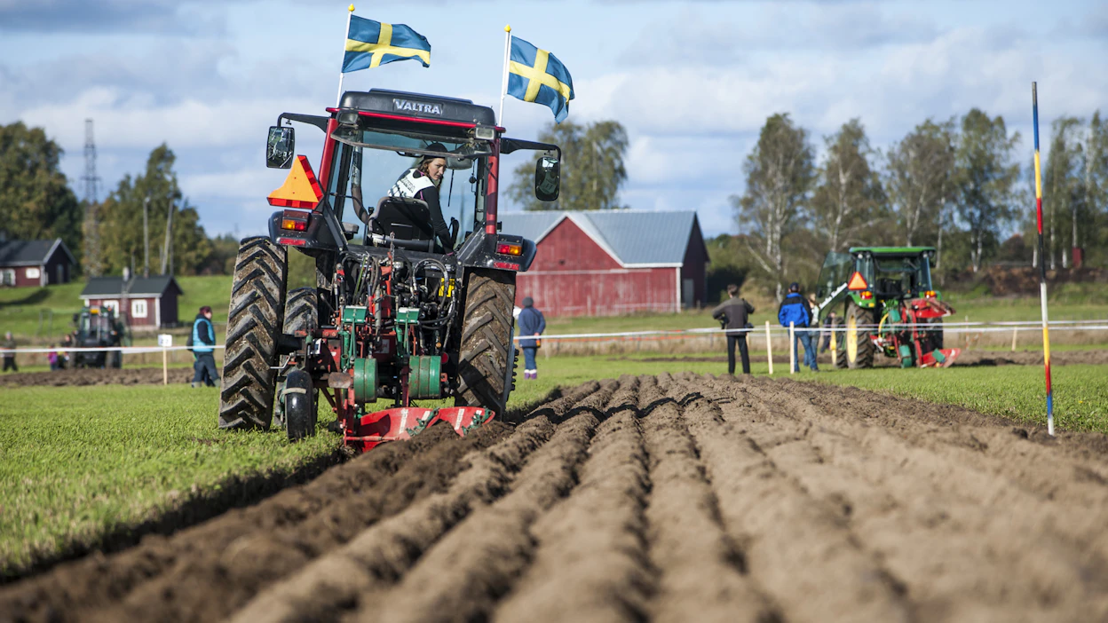 Haltialan tilalla on myös kisattu traktorikynnön suomenmestaruudesta. Kisakuva vuodelta 2014, kyntäjä Emilia Anderson.