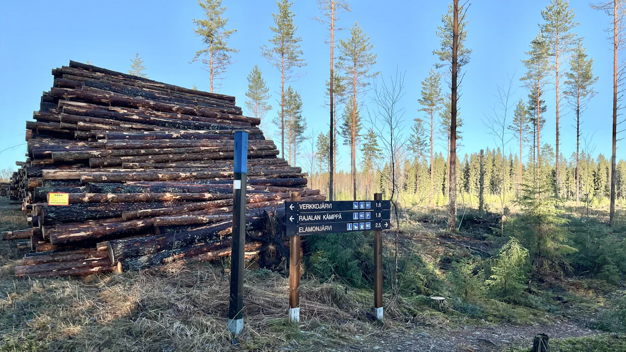 Parhaillaankin Laipanmaassa on käynnissä isoja metsähakkuita.
