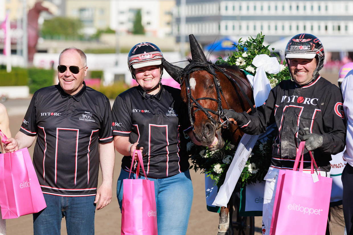 Devilish Hill voitti viime vuonna nelivuotiseliitin Elitloppet-sunnuntaina.