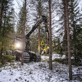 Metsä Group on paikannut Venäjän puun tuonnin jättämää aukkoa hankkimalla puuta Suomesta ja jonkin verran myös Ruotsista.