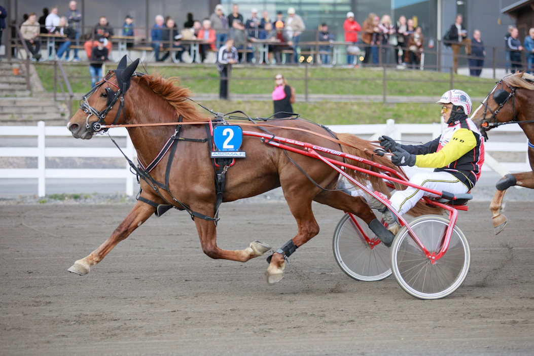 Henri Bollström ja Vale-Elli kilpailevat tänään Kuopiossa.