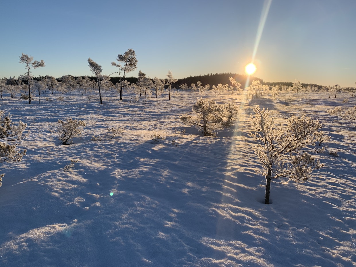 Paukkupakkasilla pakastimen sulattaminen on helpointa, sillä pakasteet voi viedä pakastimen sulattamisen ajaksi ulos. Kuvituskuva.