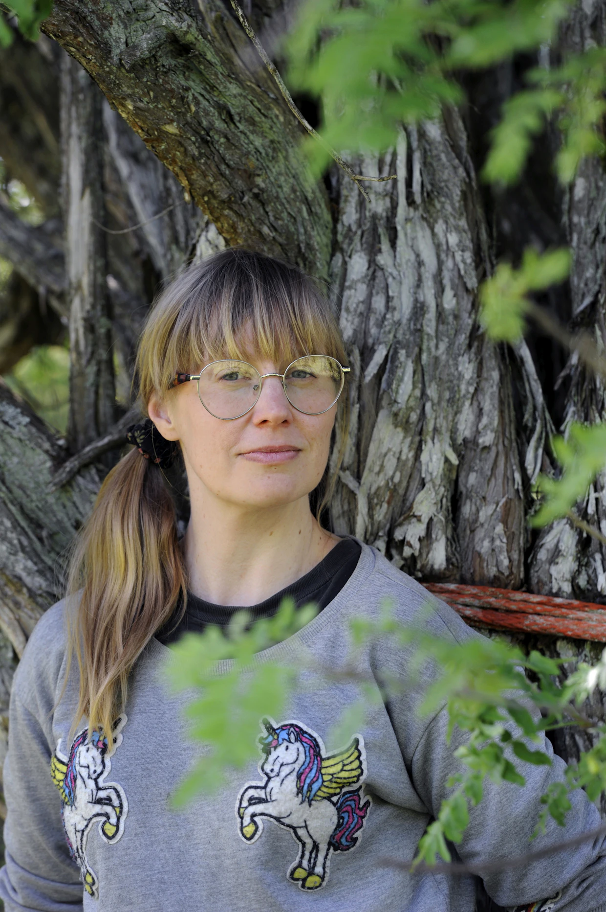 Paloniemi suunnittelee metsätarhan laajentamista, jotta hevoset saavat lisää laiduntilaa. Takana tilan ikivanha kataja.