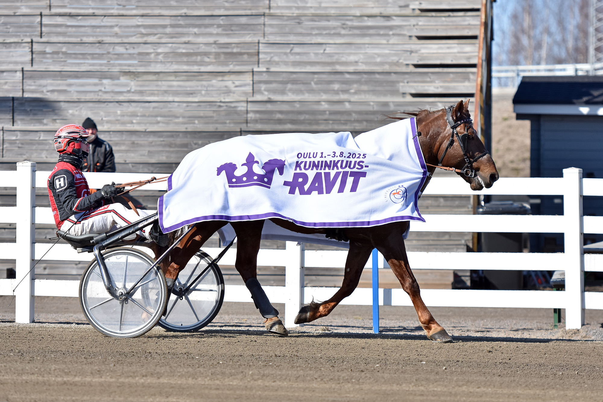 Evartti oli yksi Raitalan voittoisista ajokeista. Antti Ojanperä valmentaa ravikuningasta.