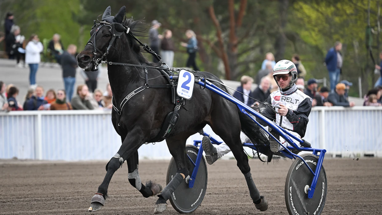Iikka Nurmonen ohjastaa Need’emiä myös Elitloppet-lauantaina ajettavassa Sweden Cupissa.