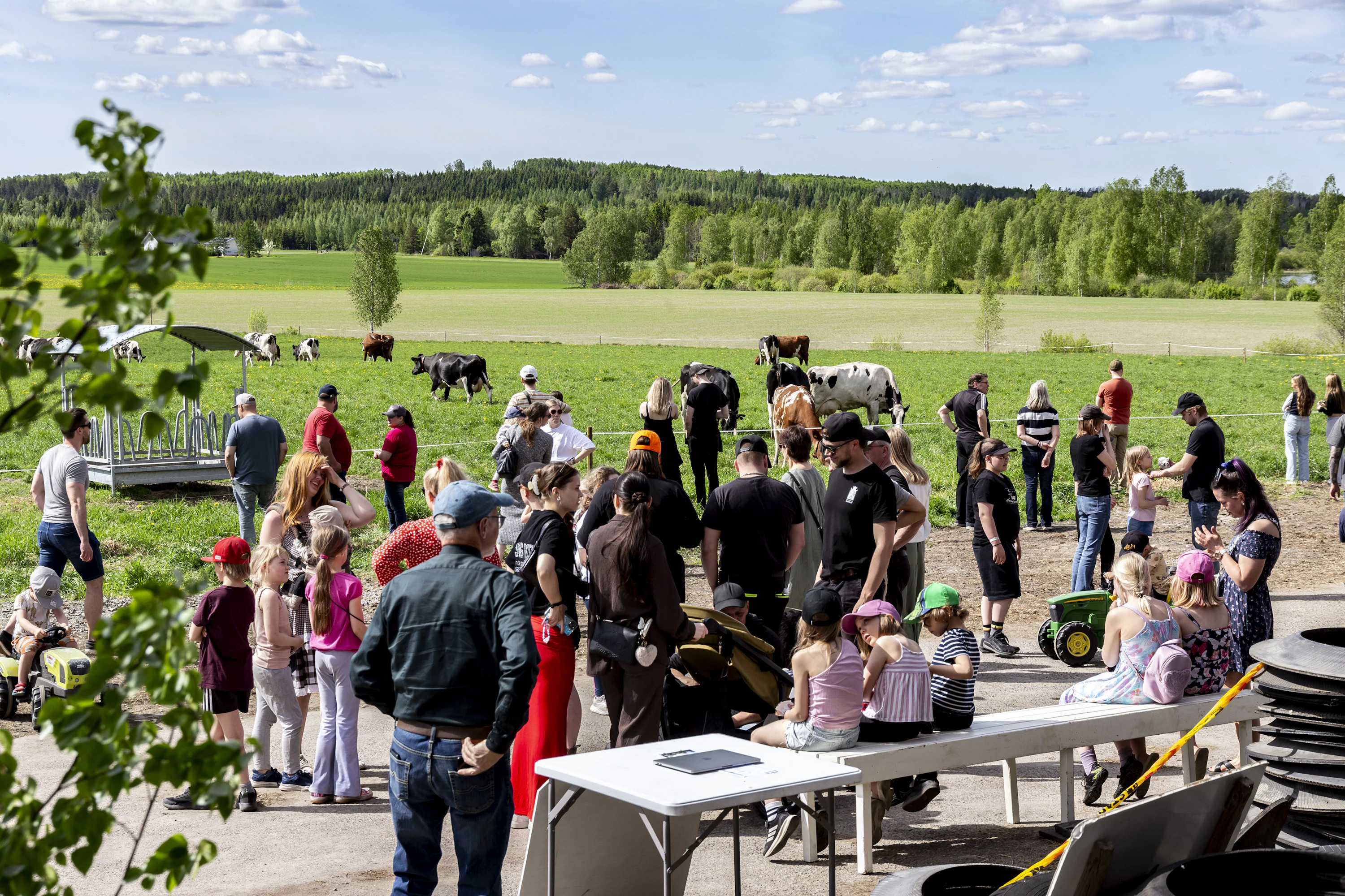 Harhala arvioi, että yleisöä oli paikalla 300–350.