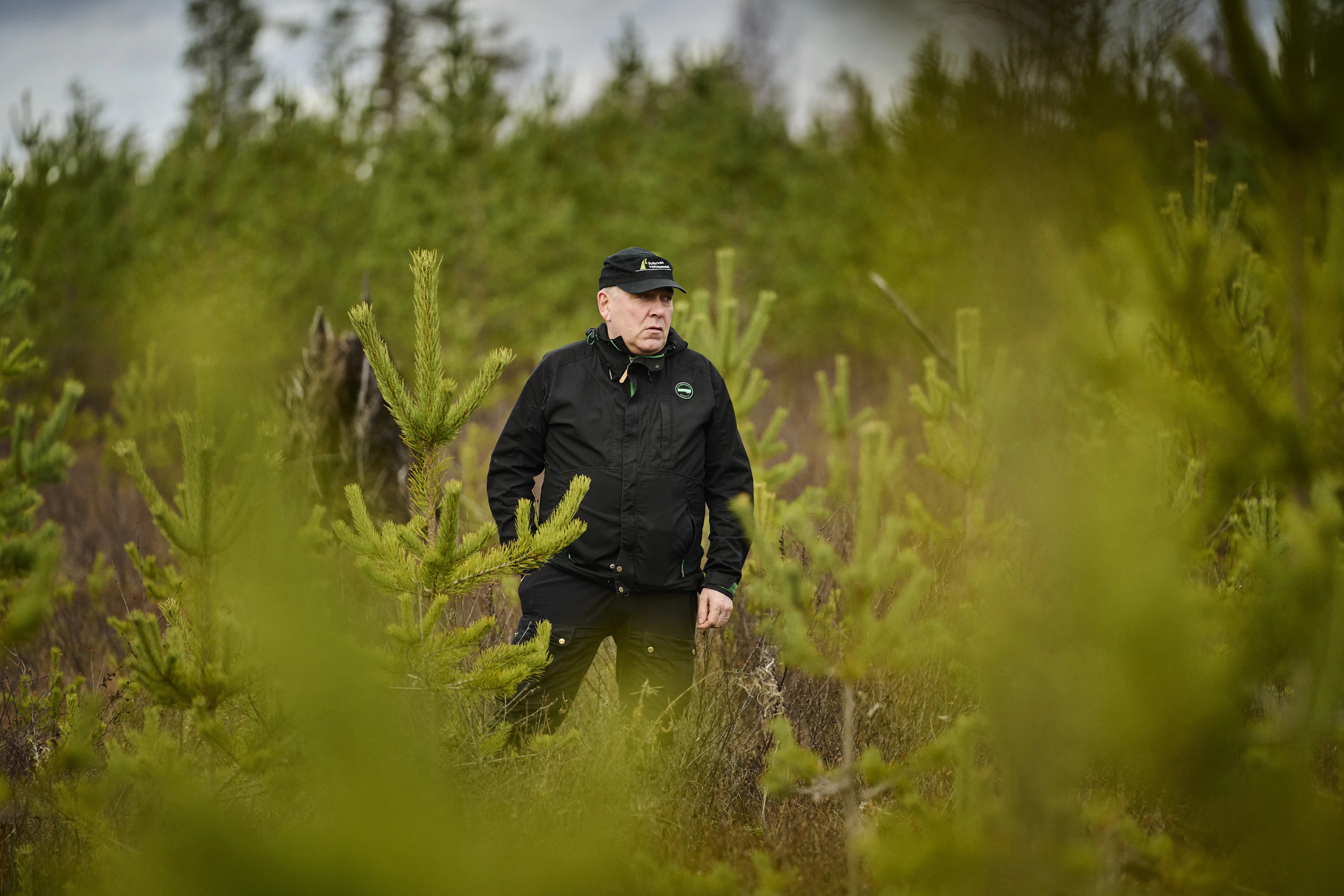 Sukevan yhteismetsän metsistä iso osa kasvaa turvemailla. Hoitokunnan puheenjohtaja Ari Sirviö halusi selvittää, miten aikanaan ojitetut suometsät saisi kasvamaan aiempaa paremmin.