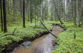 Ojien ja purojen ylityksissä voi sattua tahattomia pulahduksia.