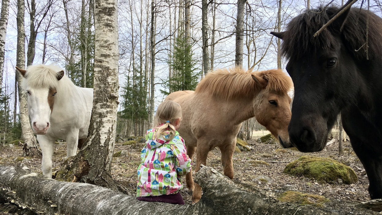 Hevosen normaali seisoma-asento on kaula lievästi kaartuneena kehon keskilinjasta eteenpäin, jolloin säkä ja niska ovat kutakuinkin samalla korkeudella.