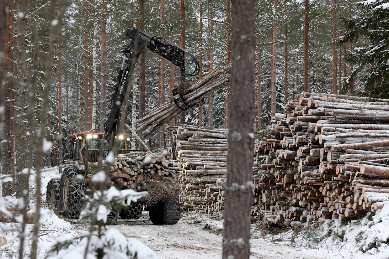 Energiapuun kysyntä tyssäsi kesällä, mutta nyt se piristymään päin, arvelevat Euran alueella urakoivat koneyrittäjät.