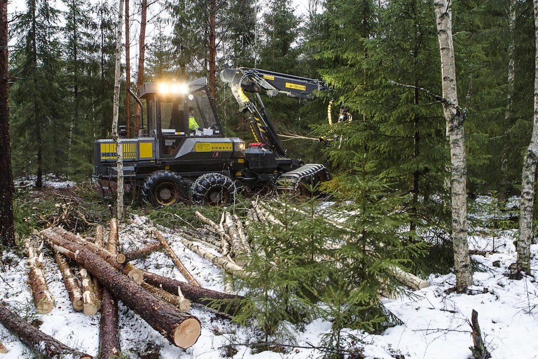 ”Hakkuutasoa merkittävästi laskemalla ilmastopoliittiset tavoitteet voitaisiin ehkä saavuttaa, mutta sen seurauksena ilmastonmuutos ei hidastuisi, vaan hyvin todennäköisesti kävisi päinvastoin”, Petri Kortejärvi kirjoittaa.