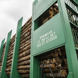 Tammi-elokuussa Suomeen tuodusta puusta Venäjältä oli peräisin 43 prosenttia. Elokuussa puuta ei kuitenkaan Venäjältä enää tullut. 