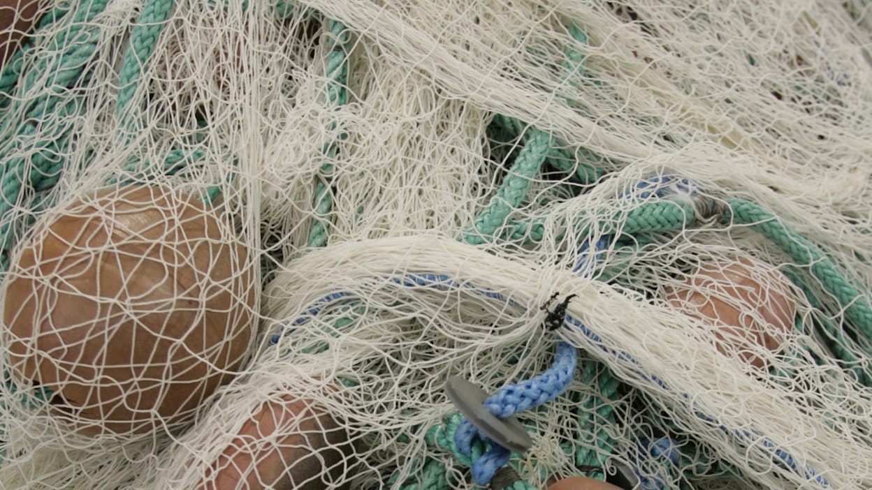 Kalaverkkoja. Kuvituskuva.