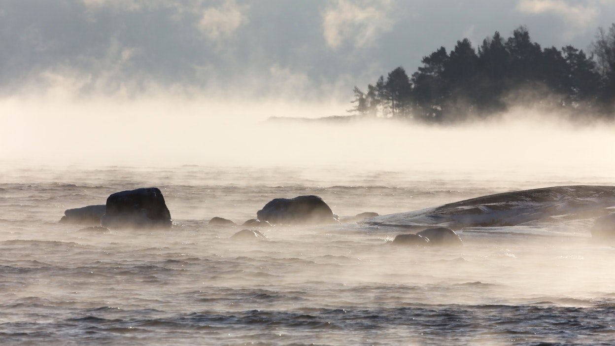 Meret sitovat noin 25 prosenttia ihmisen aiheuttamista hiilidioksidipäästöistä.