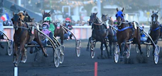 Se on siinä, näyttää nuori ohjastajalupaus Nicolas Bazíre huokaavan Hooker Berryn (12) rattailla. Viime kerran Prix d’Ameriquen voittokuski näyttäisi olevan mukana tälläkin kertaa.