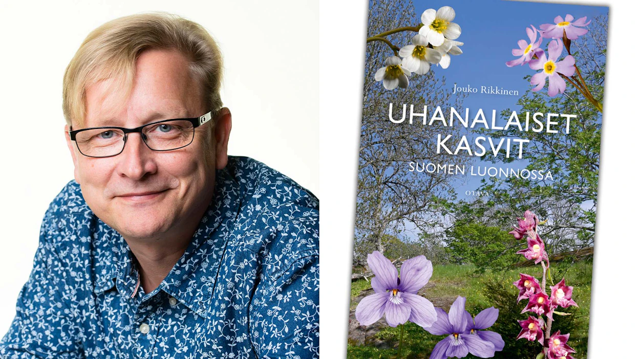 Jouko Rikkinen: Uhanalaiset kasvit Suomen luonnossa. Otava 2023. S. 168.