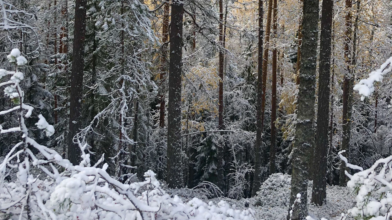 Rajanylityspaikkojen ulkopuolella vastassa voi olla muun muassa tiheitä metsiä ja jyrkänteitä.