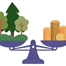 Optimaalisessa tilanteessa puunmyyjän ja -ostajan edut kohtaavat.